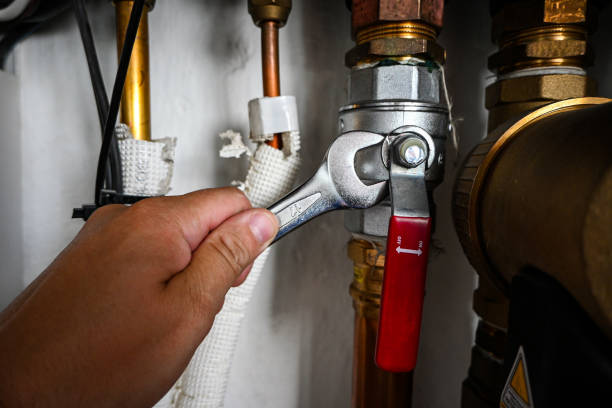 Best Plumbing Services Near Me  in Chlicothe, IL